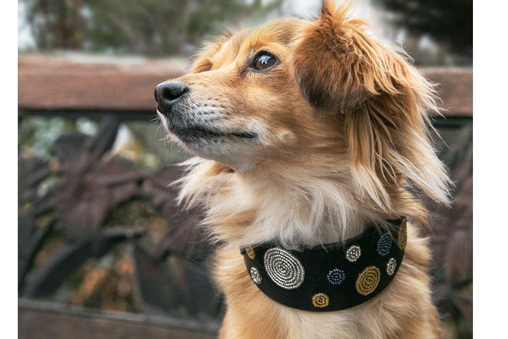 "Metallic Dots" Beaded Dog Collar - Horse Country Trading Company