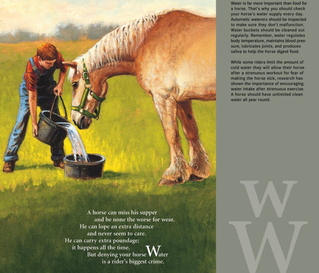 H is for Horse Children’s Book - Horse Country Trading Company