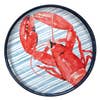 Red Lobster 15" Coco Tray - Horse Country Trading Company