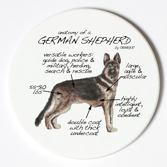 German Shepherd Anatomy Single Coaster - Horse Country Trading Company