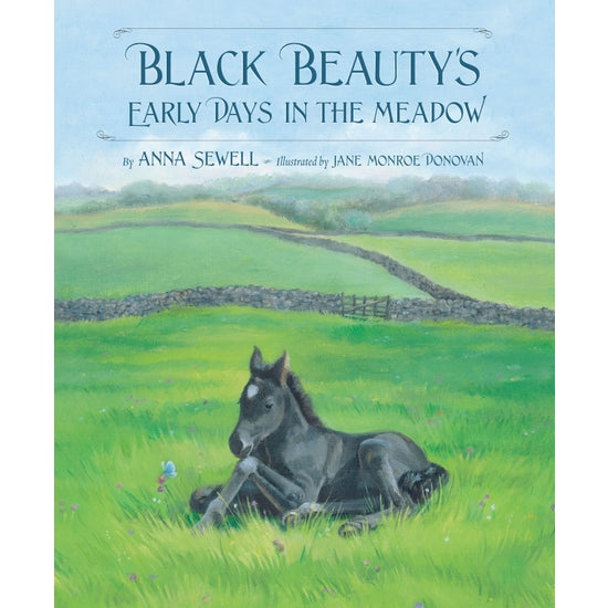 Black Beauty's Early Days In The Meadow Children’s Book - Horse Country Trading Company