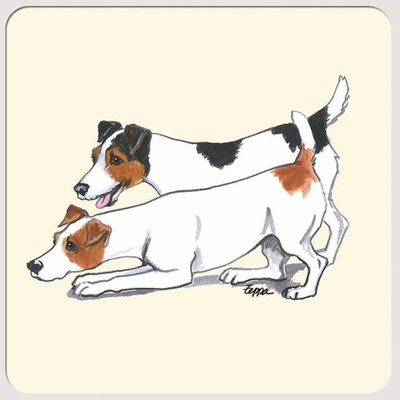 Jack Russell Terrier Pair Beverage Coasters - Horse Country Trading Company